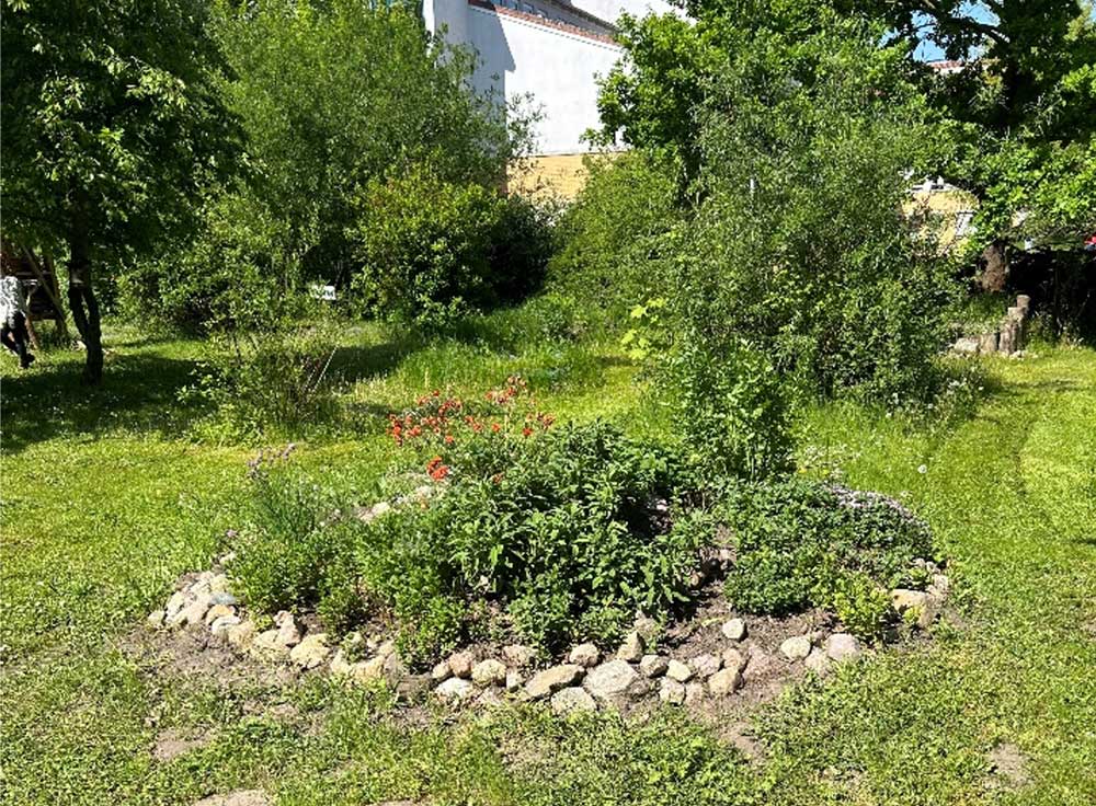 Wettbewerb „Schulgarten“ 2024