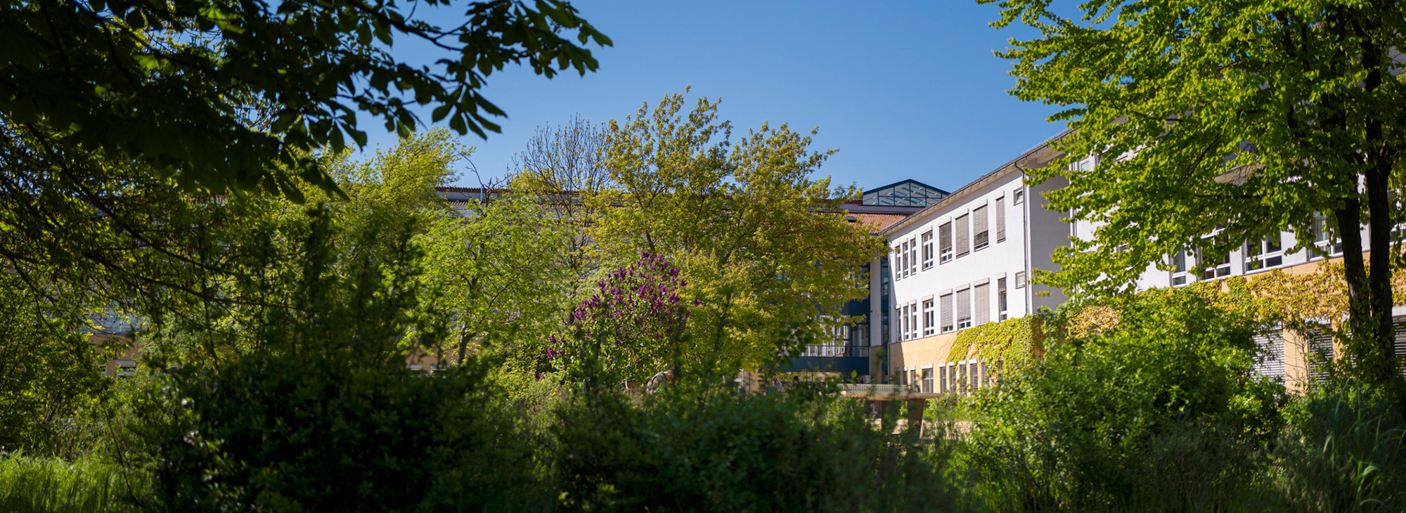 Grußbotschaft zum neuen Schuljahr 25/26
