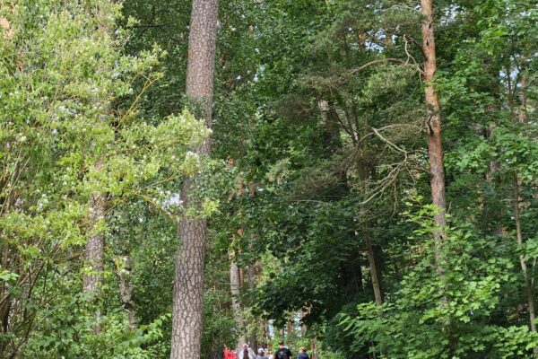 RVO_Berlin_Lettlandfahrt_8